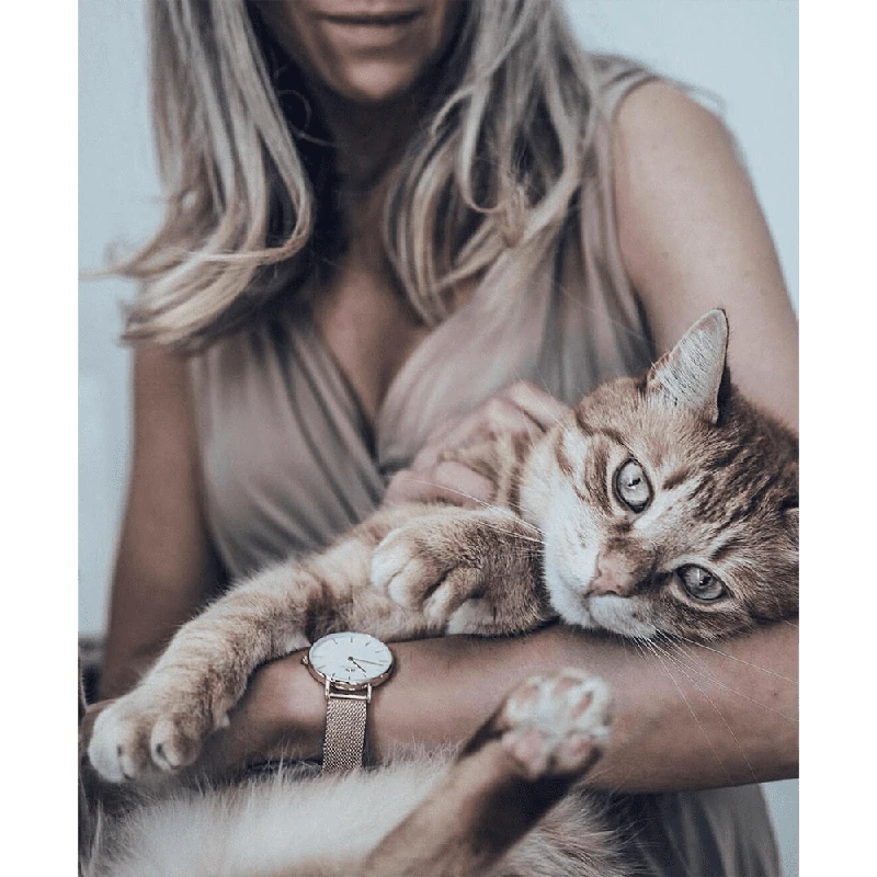 D7a9d7a2d795d79f D799d793 Daniel Wellington D793d7a0d799d790d79c D795d795d79cd799d7a0d792d798d795d79f Dw00100163 2