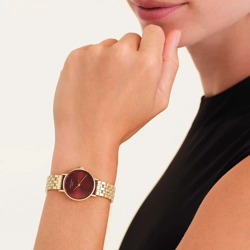 D7a9d7a2d795d79f D799d793 Rosefield D7a8d795d796d7a4d799d79cd793 D793d792d79d Segsg Se01 2